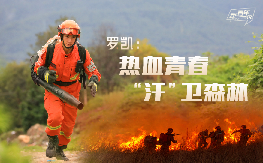 罗凯:热血青春"汗"卫森林
