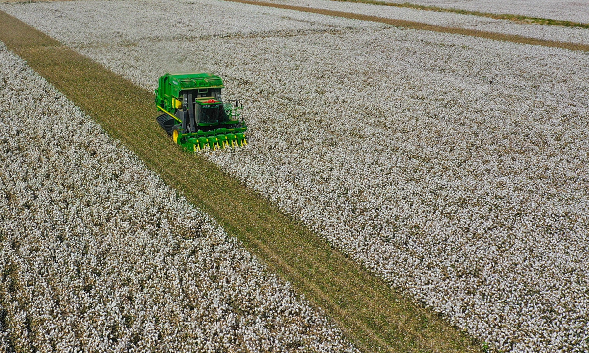 Xinjiang cotton Photo: VCG